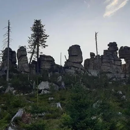 Welcoming Near Forest In