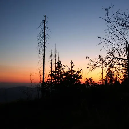 Welcoming Near Forest In Rohrnbach