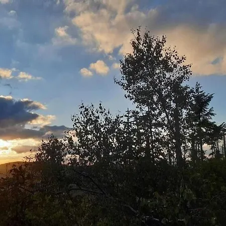 Welcoming Near Forest In Röhrnbach