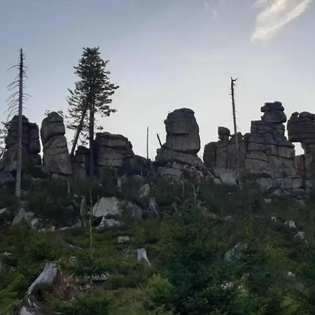 Welcoming Near Forest In 아파트 론바크