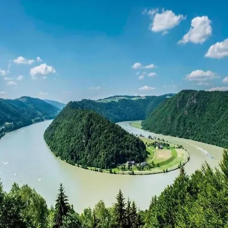 Welcoming Near Forest In 아파트