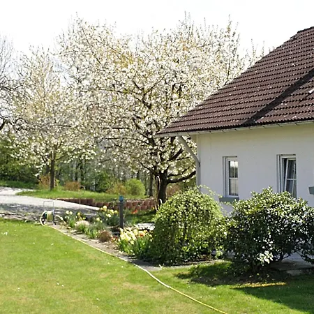 Welcoming Near Forest In Apartman